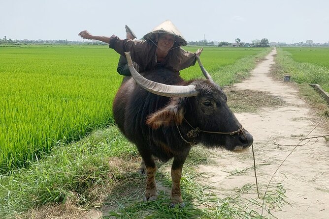 3 Hours Hoi An Countryside Bicycle Tour - Why this ride is a good way to see Hoi An