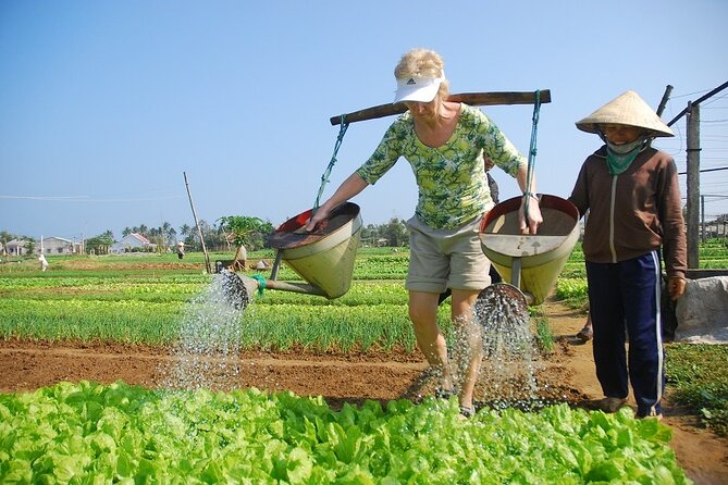 3 Hours Hoi An Countryside Bicycle Tour - Rice fields and coffee in Cam Chau