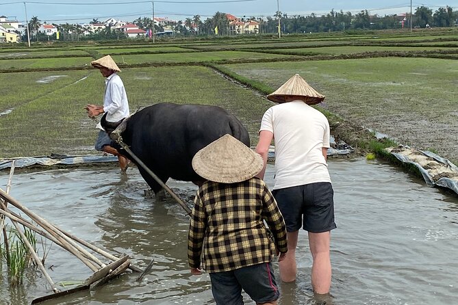 5-Hour Discovery Countryside by Cycling, Buffalo and Basket Boat - Meeting the water buffalo