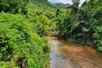 A Private Full Day Tour to My Son Sanctuary & Marble Moutains