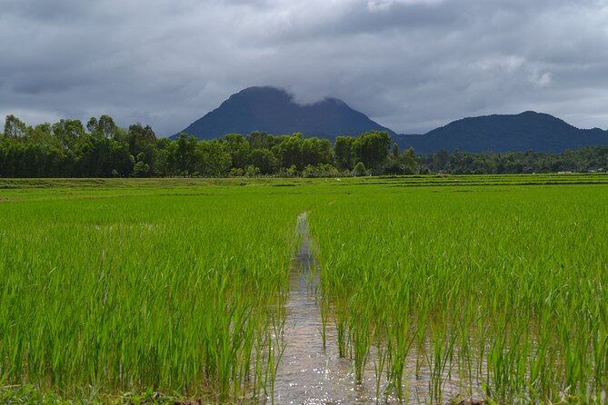 Adventure Bike Tour from Hoi An - Who will enjoy this bike tour