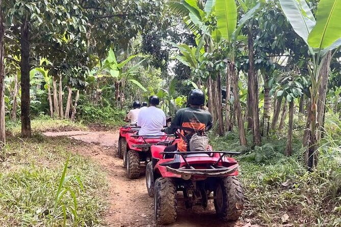ATV Quad Bike Adventure from Hoi An or Danang - Starting at the organic farm