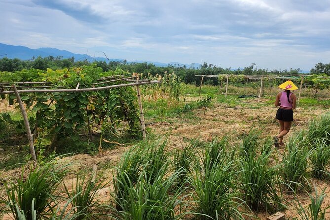 ATV Quad Bike Hoi An Adventure & BBQ Feast - Riding villages, farms, rice fields, and jungle tracks