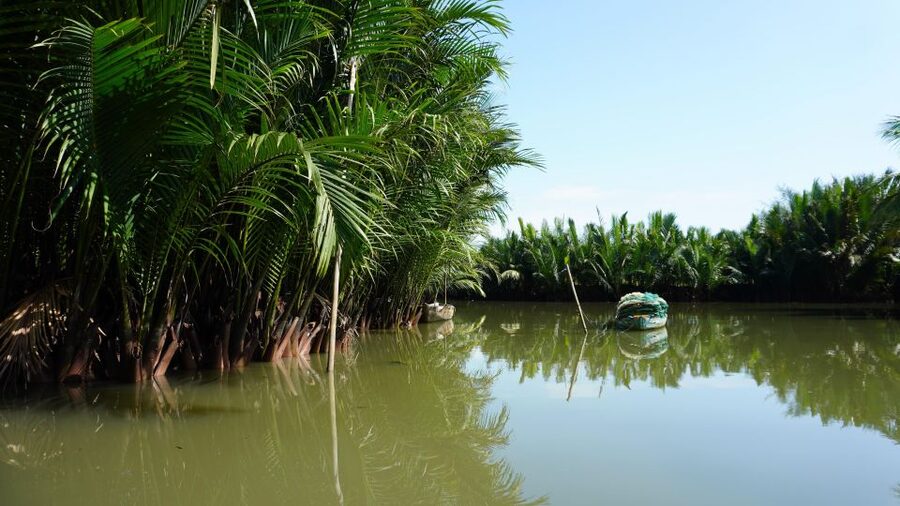 Basket Boat at Coconut Village, Kitchen Show and Big Lunch - Tra Que Village and 300 years of growing herbs