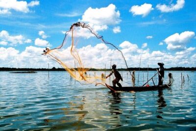 Basket Boat in Hoi An( visit water coconut forest,Crab fishing )