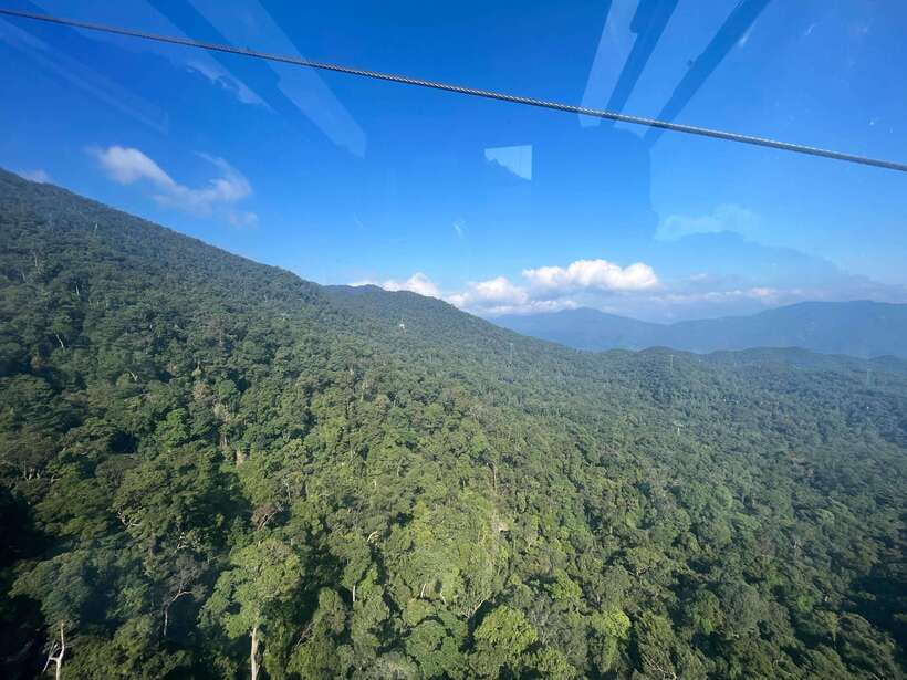 Best Tours/ Transfer to Bana Hills & Golden Bridge - Gardens, Buddha, and Nghinh Phong Pagoda