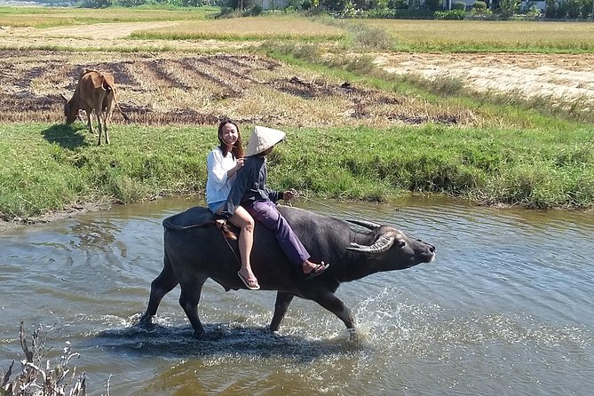 Buffalo riding and Basket Boat Half Day Tour - A Vietnamese meal after the boats