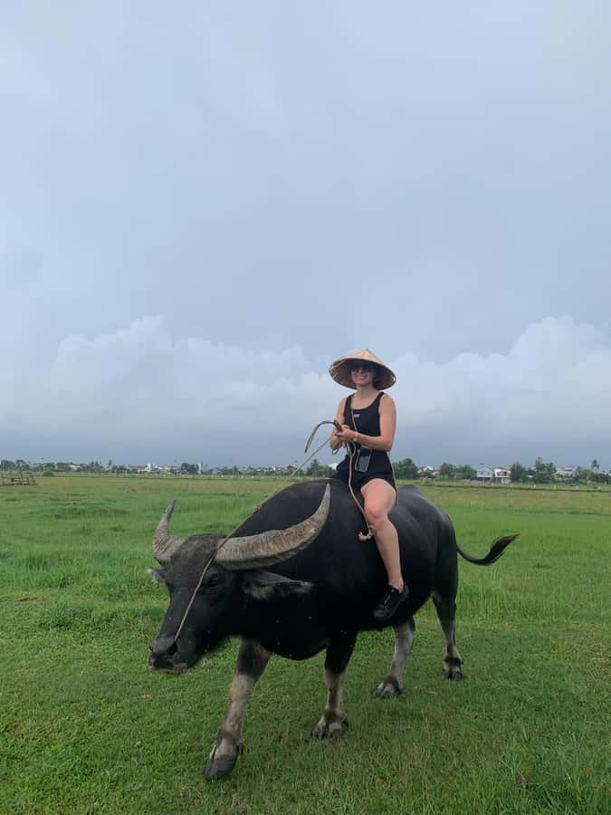 BUFFALO RIDING -BASKET BOAT & BIKE TOUR-HOI AN - Paddling a bamboo basket boat
