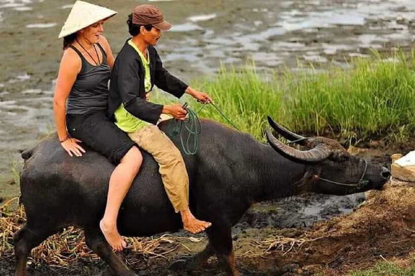 Buffaloe Riding/Ceramic/Cafe/Lantern Class/Basket Boat/Lunch - Is the $8 price good value?