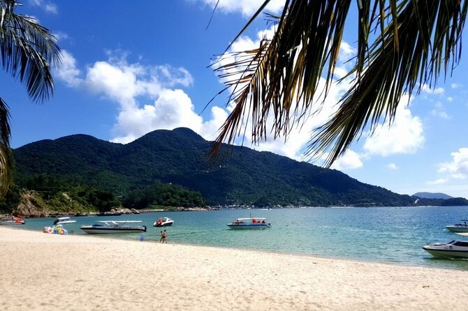 Cham Island Day Tour from Hoi An with Group tour - Seafood lunch and the real value of $35