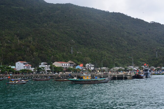 Cham Island Day Tour: Speed Boat, Lunch, Snorkeling & Beach - Timing, pickup, and the return to Hoi An