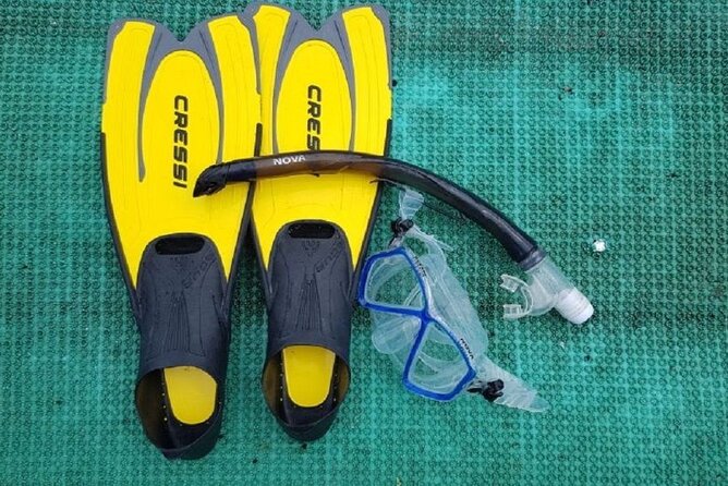 Cham Island Exploration Tour and Swimming with Local Guide - Hon Nhon Beach and the snorkeling stop