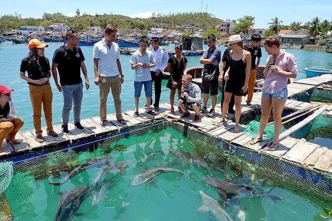 Cham Island Snorkeling Private Tour (Only Snorkeling & Beach) - A Cham Island day built around the water