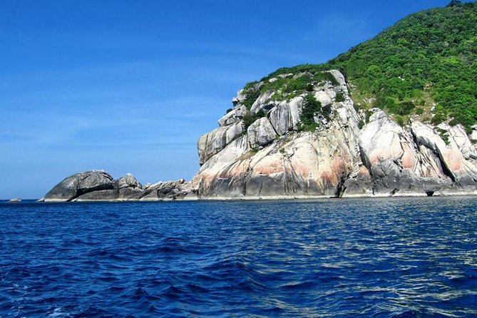 Cham Island Tour Snorkeling -Sunbathing - Nice Beach - Speedboat - Cu Lao Cham Museum and island orientation