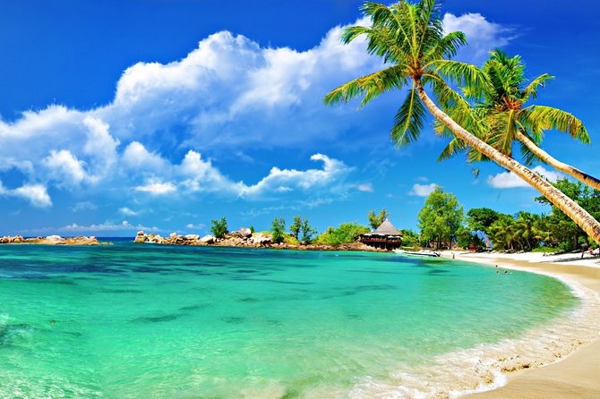 Cham Island Trip by Speed Boat including Snorkeling from Hoi An or Da Nang - Forty-five minutes of snorkeling in the marine reserve