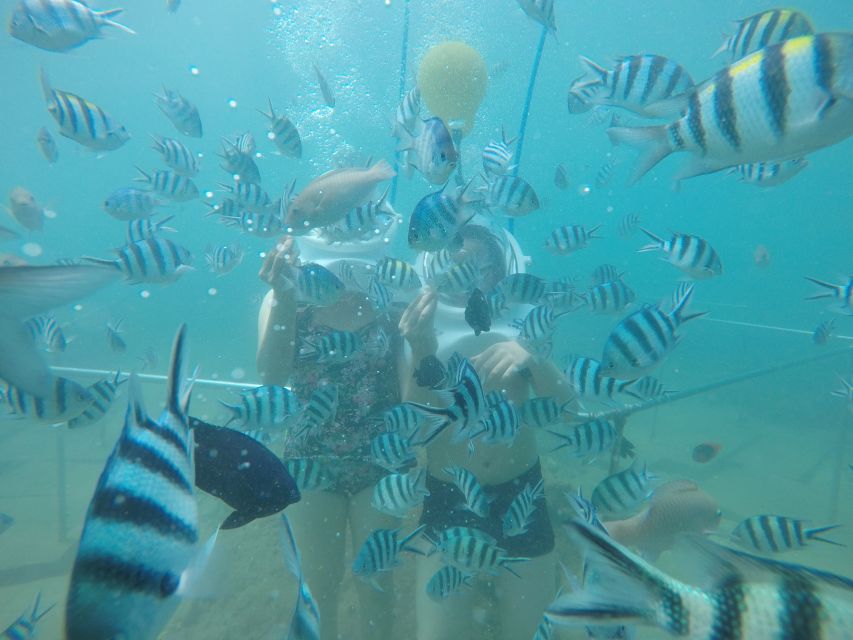 Cham Island: Underwater Walking & Snorkeling Tour - Cham Island by boat, then straight into the sea