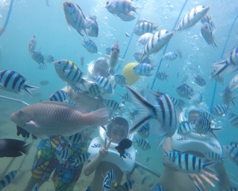 Cham Island: Underwater Walking & Snorkeling Tour - Snorkeling Cham Island’s living reef