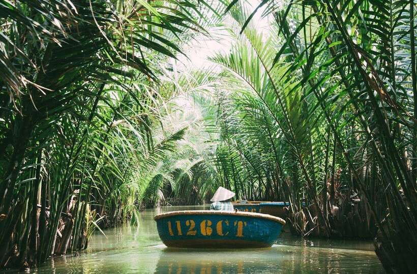 Coconut Basket Boat Ride in Hoi An - A quiet ride through Hoi An’s coconut forest