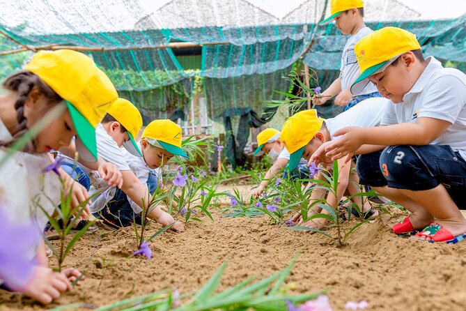 Cooking Class Hoi An - Organic Garden - Farming Tour-Handicrafts - A personal class rather than a crowded demonstration
