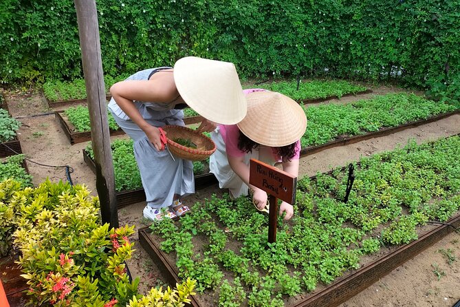 Cooking Class Hoi An - Organic Garden - Farming Tour-Handicrafts - What is included for $33.63