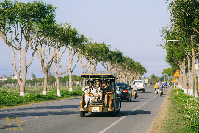 Countryside Adventure Private Tour by Electric Car - Rice Fields, Birds, and Traditional Farm Animals