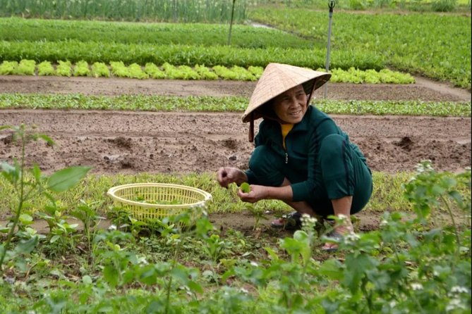 Countryside and Villages Tour By Motorbike - Tra Que Vegetable Village and Hoi An’s food culture