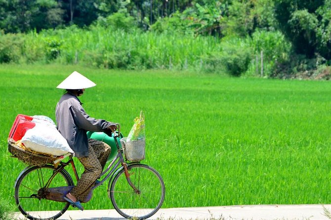 Countryside Bicycle Tour from Hoi An - All Inclusive - Rice wine and the family temple
