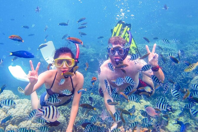 Da Nang/Hoi An: Cham Island Snorkeling, Sunbathing, Nice Beaches - The speedboat crossing to Cham Island