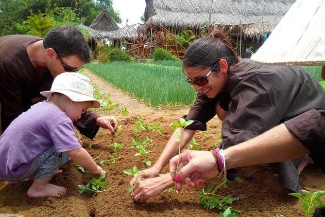 Farming with the Local Famers - Working in the vegetable gardens with local farmers