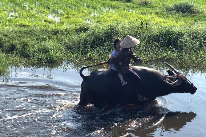 From AUTHENTIC FARMER'S LIFE to ECO RIVER FISHING EXPERIENCE - What the guide adds to the morning