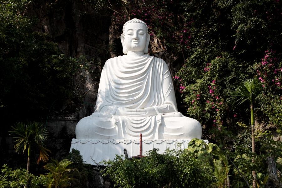 From Hoi An: Day Tour of My Son Temples and Marble Mountain - Who should book this tour?