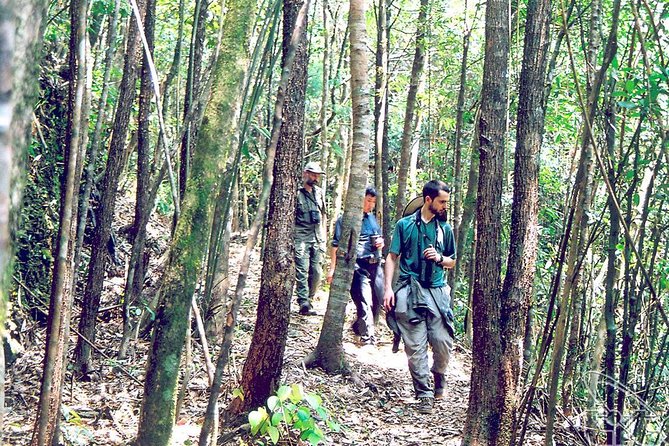 Full day: Hoi An - Bach Ma National Park - Wildlife spotting without false promises