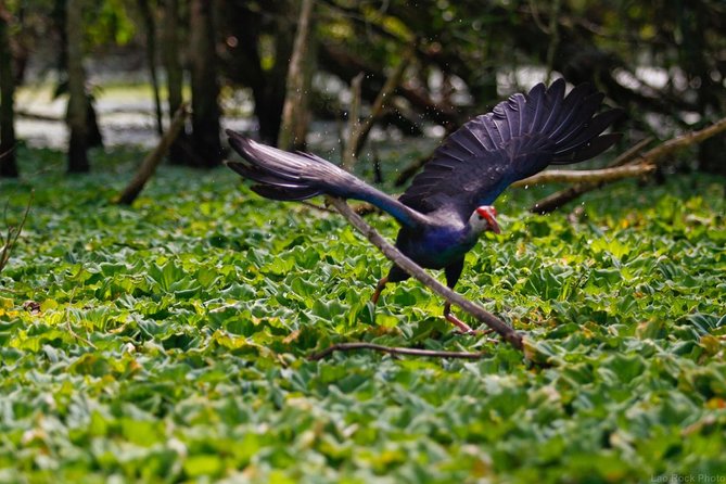 Full day: Hoi An - Bach Ma National Park - Starting the Bach Ma hike at 9:30 AM
