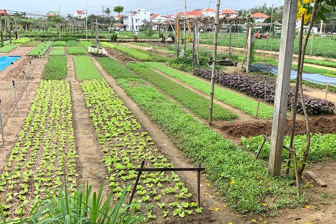 Full Experience Tour: Cooking Class & Basket Boat at Eco-Village - Key points to know before booking