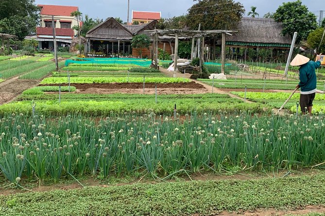 Full Experience Tour: Cooking Class & Basket Boat at Eco-Village - Meeting the water buffalo