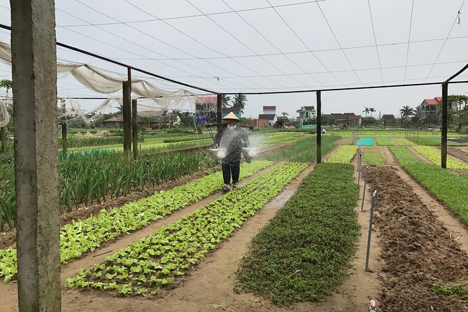 Gardening at Tra Que Vegetable Village and cooking class - Is this Tra Que tour worth booking?