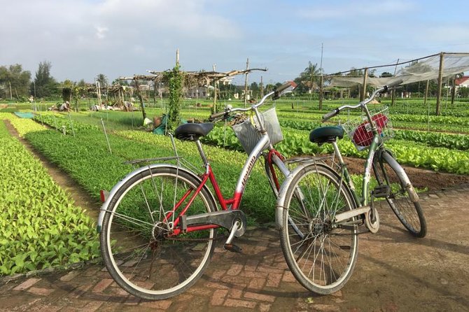 Half Day Cooking Class At Tra Que Vegetable Village Hoi An - Cycling the flat roads toward Tra Que