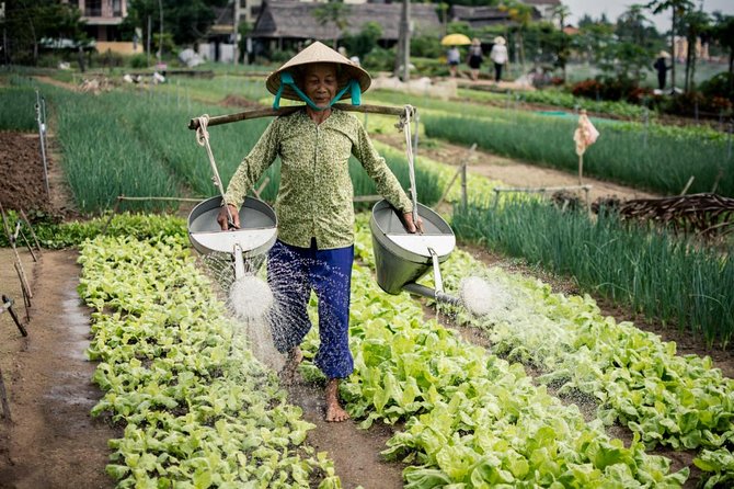 Half Day Cooking Class At Tra Que Vegetable Village Hoi An - Working the soil at Tra Que Vegetable Village