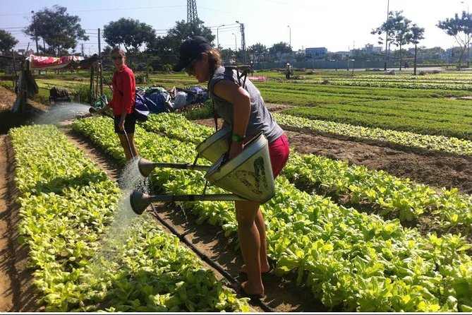 Half Day Cooking Class At Tra Que Vegetable Village Hoi An - Who will enjoy this experience most