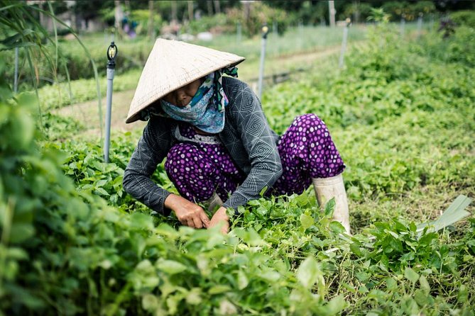Half Day Cooking Class At Tra Que Vegetable Village Hoi An - Cooking Hoi An specialties at a farmer’s home