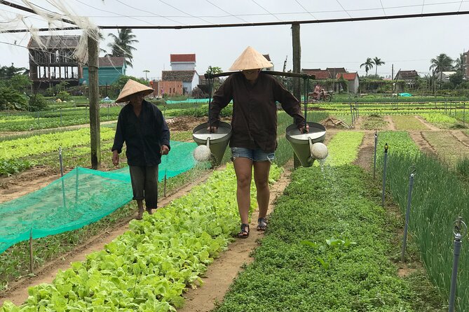 Half-Day Hoi An Countryside and Villages Tour by Bike - Learning to Spot Real Silk at Thang Loi