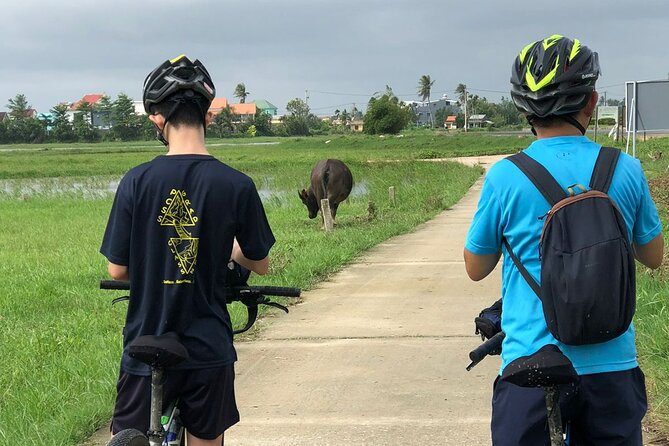 Half-day Hoi An Countryside Bike Tour and Basket Boat with Lunch - Kim Bong Village and the skills behind Hoi An