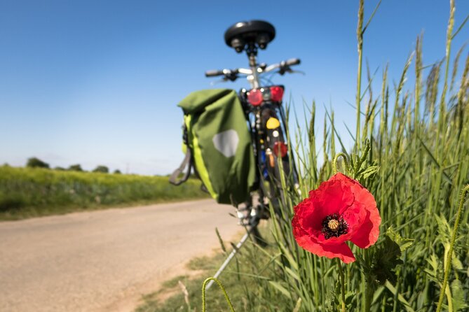 Half-day Hoi An Countryside Bike Tour and Basket Boat with Lunch - What $52 buys you
