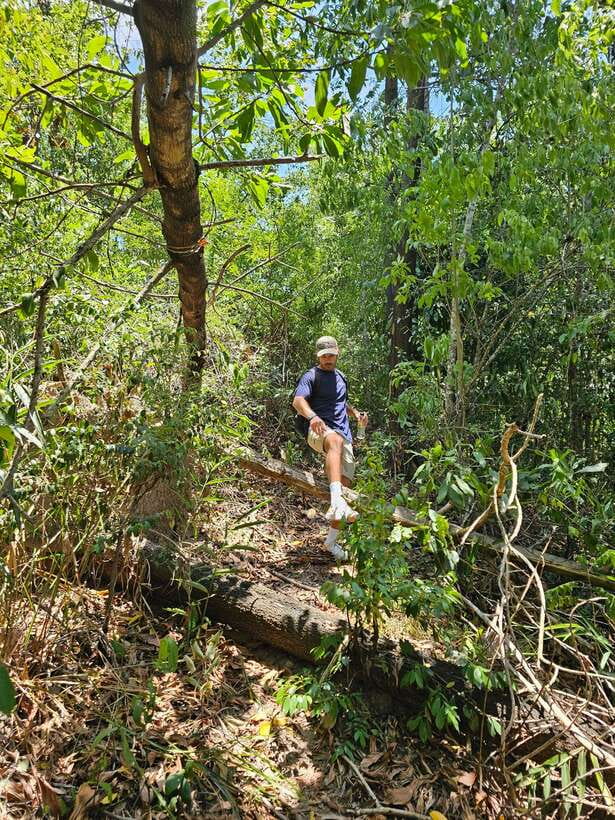 Hoi An: Amazing My Son Sanctuary and Mountain Trekking - Taking the mountain path with a local guide