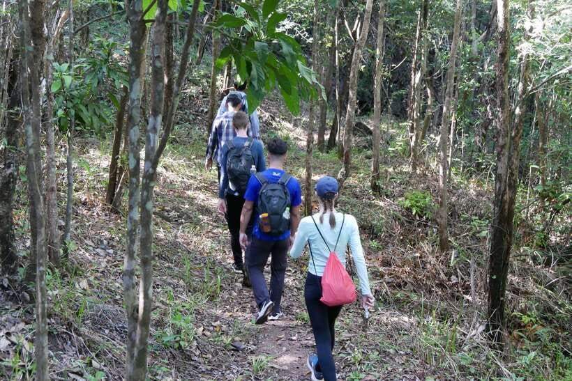 Hoi An: Amazing My Son Sanctuary and Mountain Trekking - Streams, birds, and the quieter side of My Son