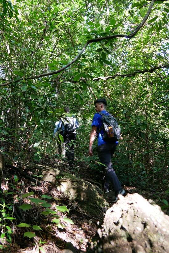 Hoi An: Amazing My Son Sanctuary and Mountain Trekking - What the trail demands from you