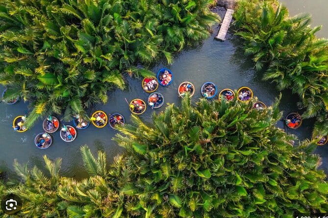 Hoi An Ancient Town & Cam Thanh Bastket Boat Shore Excursions - Who should book this shore excursion?
