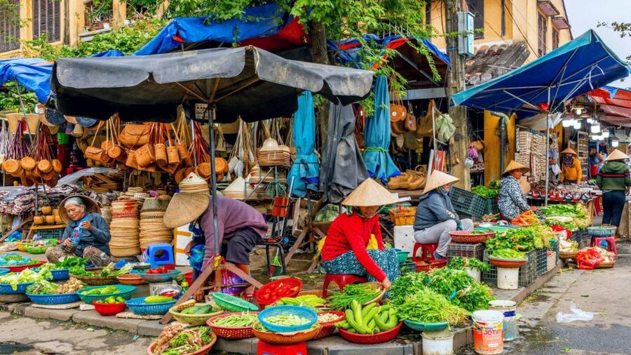 Hoi An: Authentic Cooking class in organic Herb Village - The Local Market: A Useful Start