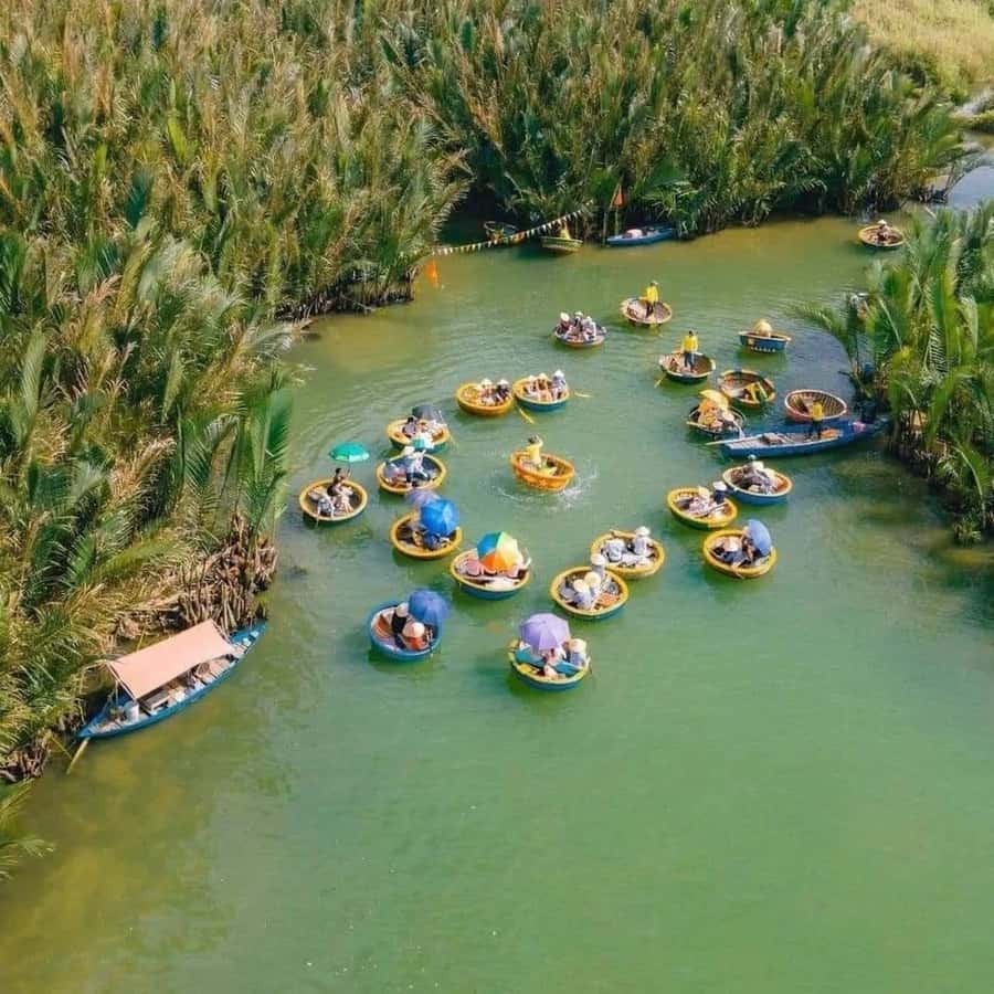 Hoi An : Bamboo Basket Boat Tour with Transportation - Key points to know before booking