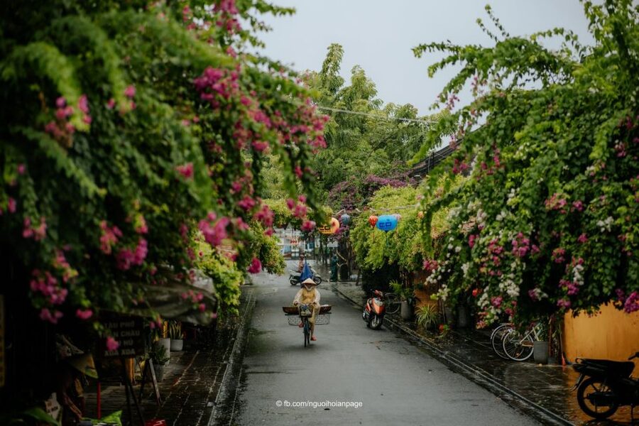 Hoi An: City Tour, Banh my and Coffee - The tour’s pace, guide style, and accessibility
